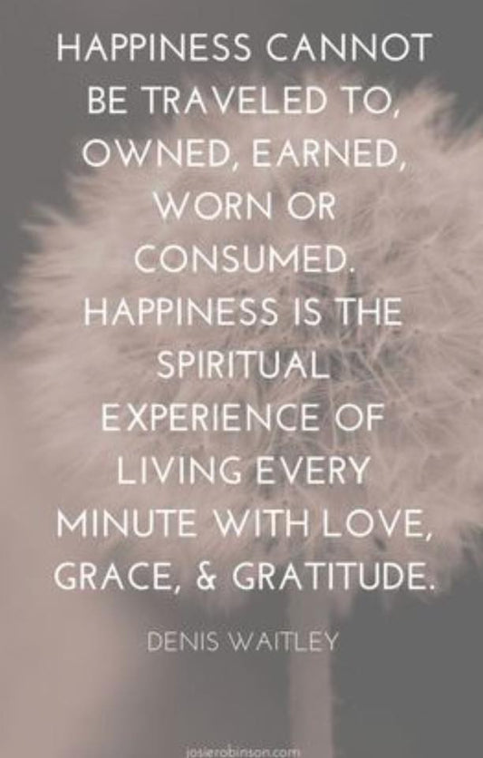 Happiness = Being Grateful